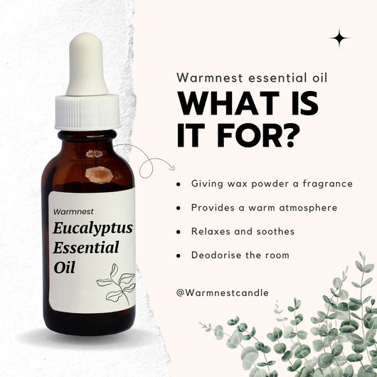 Eucalyptus Fragrance (10 mL)